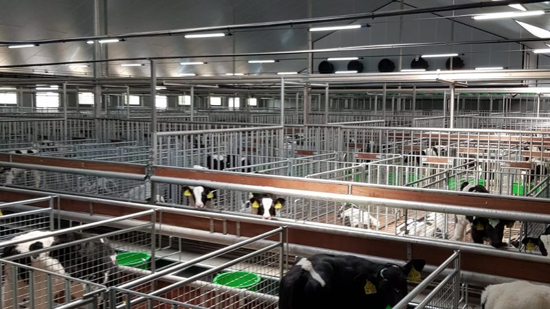 跨境电商的起步成本主要包括以下几个方面：
